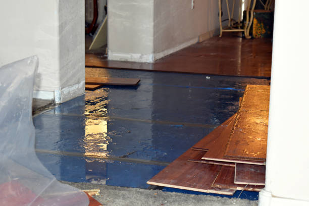 Professional Water Damage Restoration technician working in Mundelein, IL